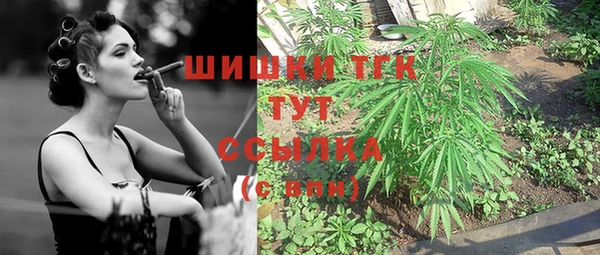винт Горно-Алтайск