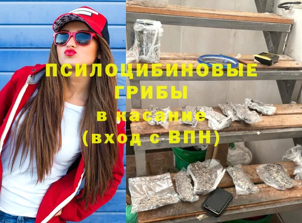 трава Магас