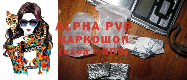 винт Горно-Алтайск