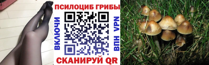 ссылка на мегу онион  Емва  Псилоцибиновые грибы MAGIC MUSHROOMS 